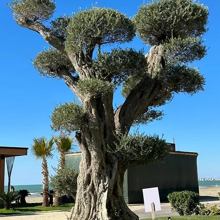 Rent-apartament Durres Al Lägenhet *