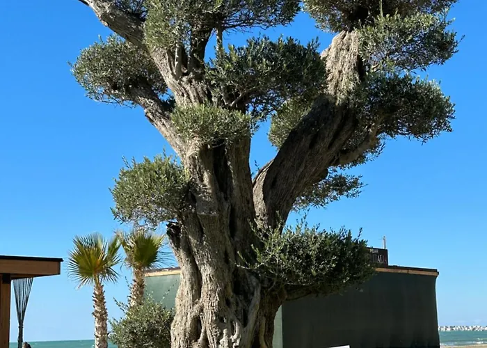 Rent-apartament Durres Al Lägenhet *